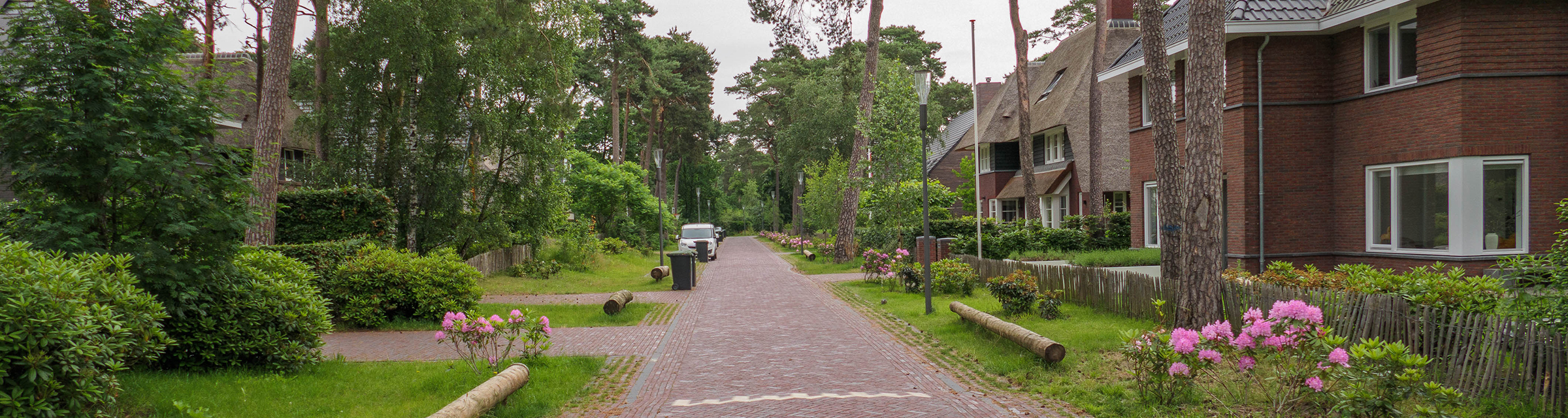 Straatbeeld met rechts huizen, links bos